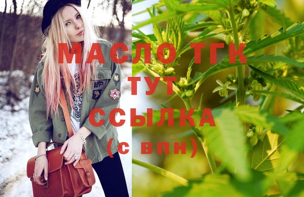 тгк Новодвинск