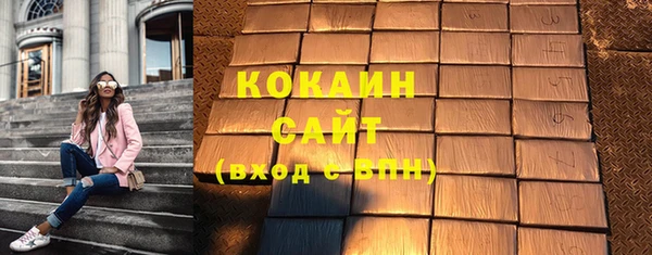 амф Новозыбков