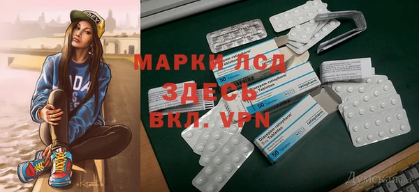амф Новозыбков